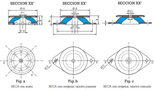 +533681/60-SHORE- BECA D,80