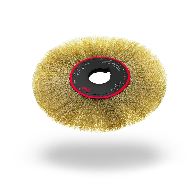 CEP CIR UÑETA 3H Ø100mm X 20mm X 0.30mm AC.LAT (CU1003E16)